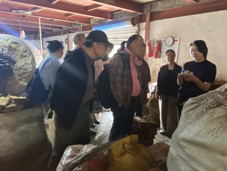 墨韵流淌元书纸 湖源雅集绽华章 墨韵流淌元书纸 湖源雅集绽华章